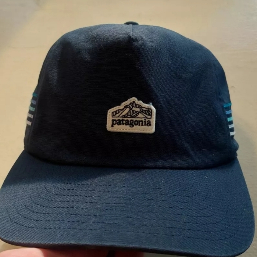 Patagonia Navy Blue Cap